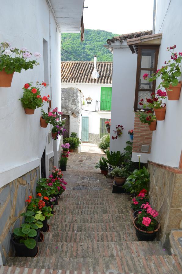 Casa La Puente Villa Jubrique Exterior photo
